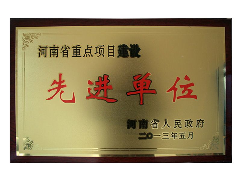 2013年河南省重 點項目建設先 進單位